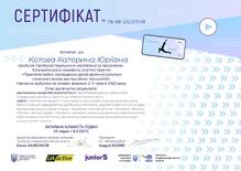  Підвищення кваліфікації за програмою Всеукраїнського марафон освітніх практик "Практичні кейси: проведення уроків фізичної культури з використанням дистанційних технологій"