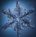 06035y8d-d95e-142x148.png