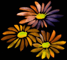 06035yyi-be5b-214x192.png