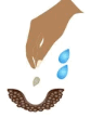 060363yz-3f19-84x121.png