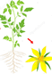 060363zc-08d2-58x83.png