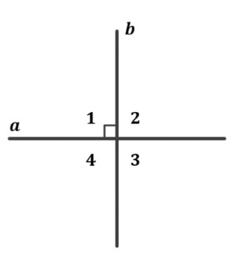 Зображення, що містить ряд Автоматично згенерований опис