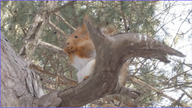 060364w7-b832-374x211.png