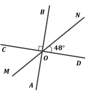 060365c4-ad2d-308x344.png