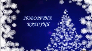 НОВОРІЧНА КРАСУНЯ
