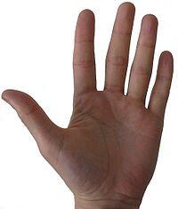 060366mo-24bb-200x235.jpg