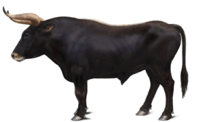 060367ag-135f-288x178.png