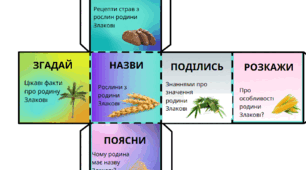Кубик Блума "Родина Злакові"