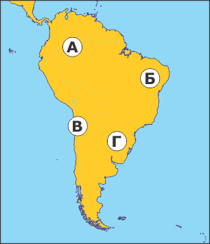 06036a88-12c6-306x354.png