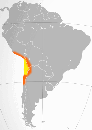 06036agl-7ef6-300x421.png