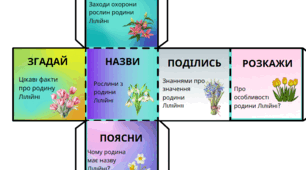 Кубик Блума "Родина Лілійні"