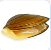 06036b8g-f735-164x162.png