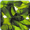 06036b9h-bed2-179x179.png