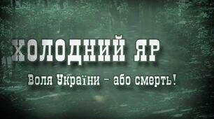 Василь Шкляр "Залишенець. Чорний Ворон"