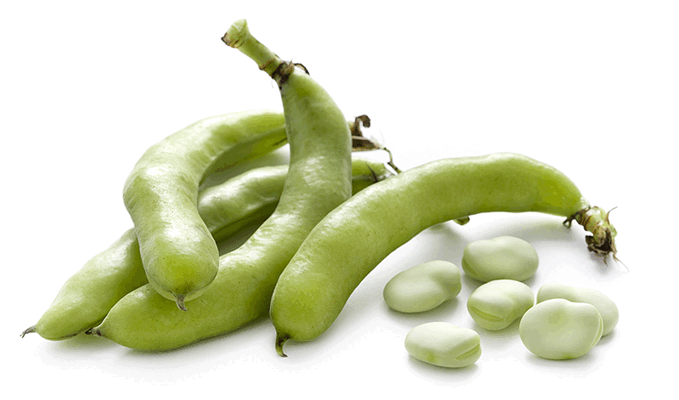 06036mkx-0d4a-679x400.png