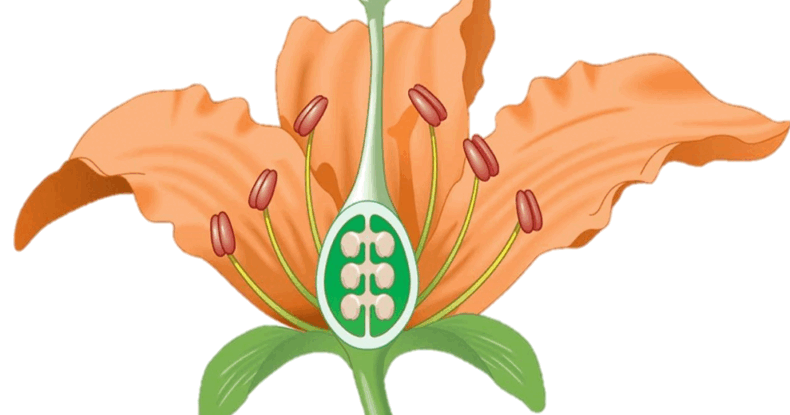 06036o1j-05c5-790x415.png