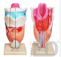 06036ok8-02ce-200x186.png