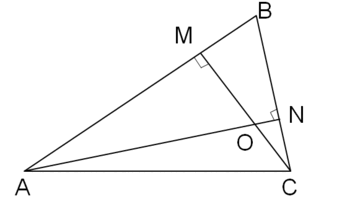 06036omf-00f6-342x209.png