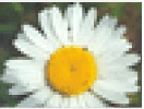 06036rf1-3645-132x100.png