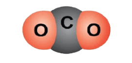 06036sac-303f-271x130.png