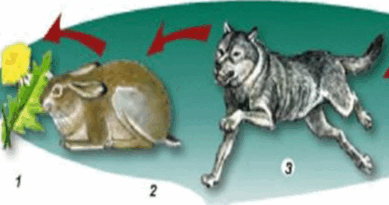 06036sqa-d52f-389x205.png
