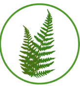06036tm3-1a48-164x175.png
