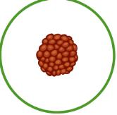 06036tn3-dfe7-166x163.png