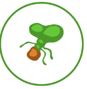 06036tnp-7616-170x175.png
