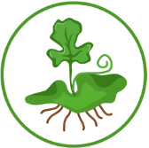 06036to6-a93d-168x167.png