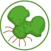 06036tpr-6eea-170x169.png