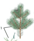 06036uqi-73e7-111x134.png