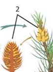06036ur7-995d-108x146.png