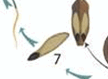06036ut8-a09a-108x79.png
