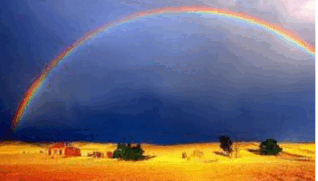 06036vyx-5b19-318x181.png