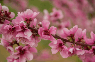06036xa0-b253-324x213.png