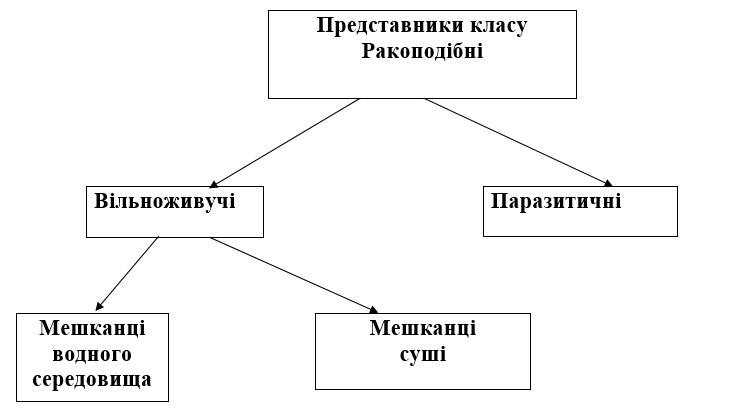 060371sm-504b-742x409.jpg