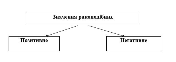 06037217-c8fc-614x217.jpg