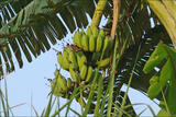 060376bu-97c9-160x107.jpg