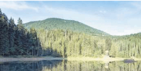060376n0-f3ca-476x241.png