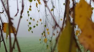ГР 3 Письмова взаємодія. Написаня фанфіку-казки  за поезією Миколи Вінграновського «Бабунин дощ»