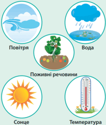 060377h4-39e0-541x636.png