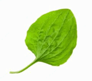 06037a5d-98f4-189x166.png