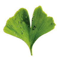 06037a5o-5a6d-191x191.png