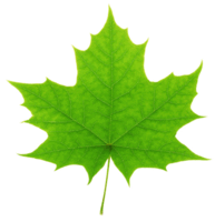 06037a6i-1d23-193x200.png