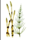 06037bfk-f780-95x132.png
