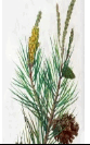 06037bhb-ad79-83x133.png
