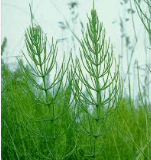 06037d47-c933-185x196.png