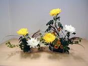 06037dco-7558-175x131.jpg