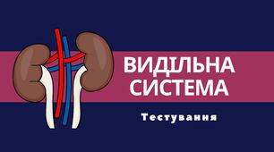 Видільна система людини