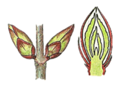 06037fqc-2f02-178x123.png